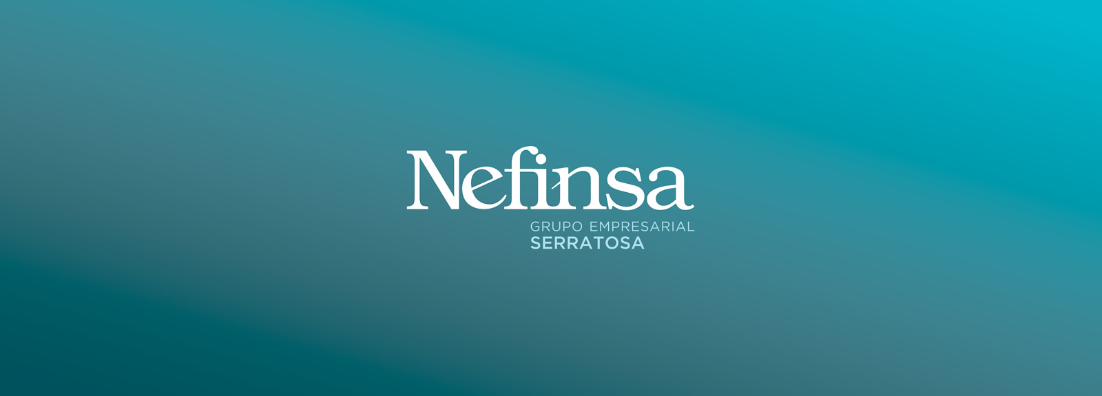 Nefinsa