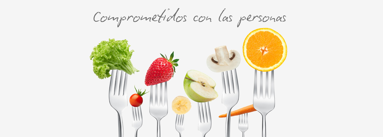 Proyecto brand identity para Irco