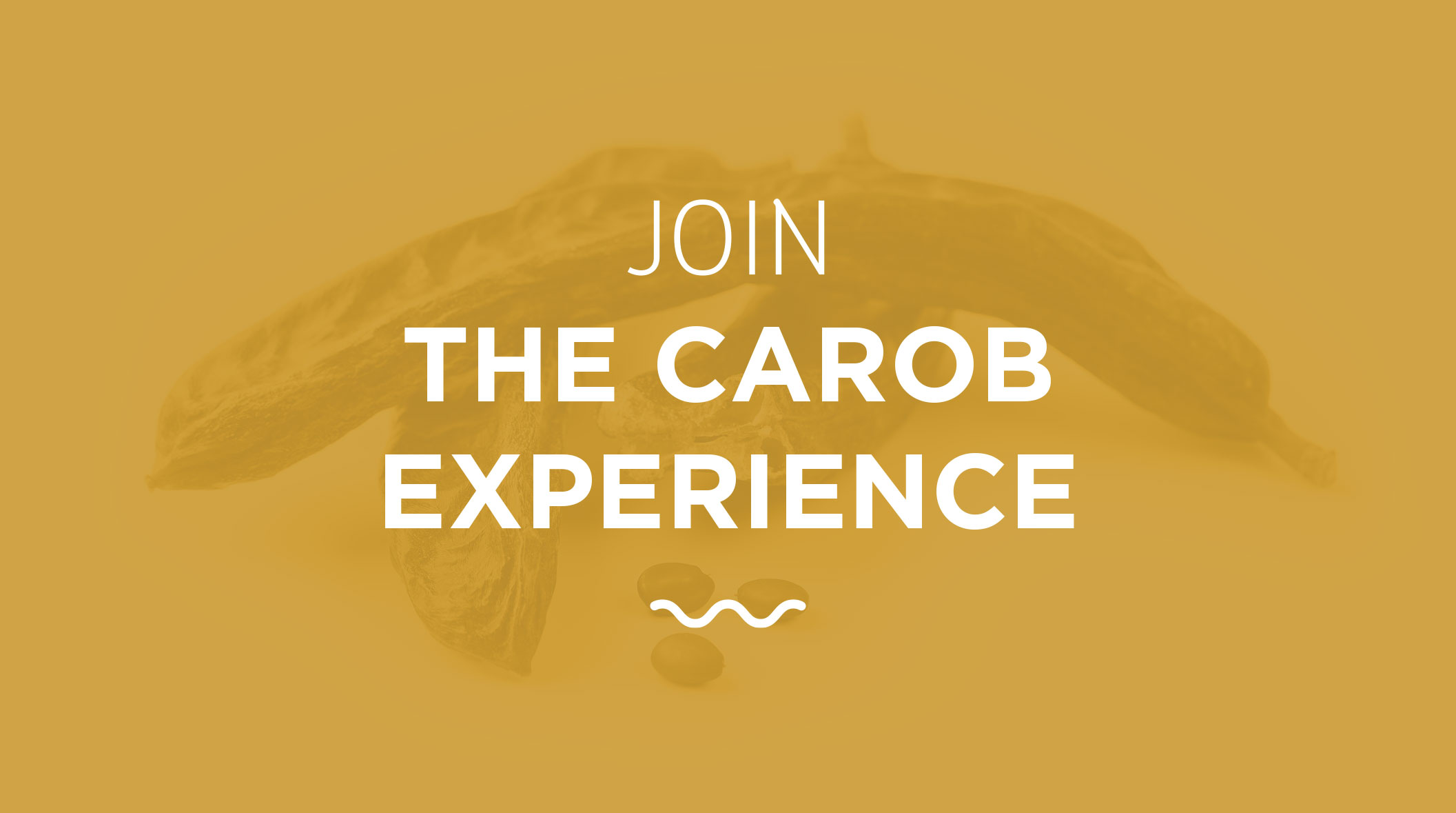 JOIN THE CAROB EXPERIENCE