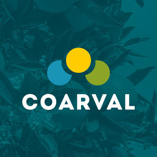 Coarval