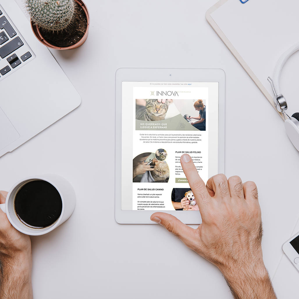 Newsletter para empresas