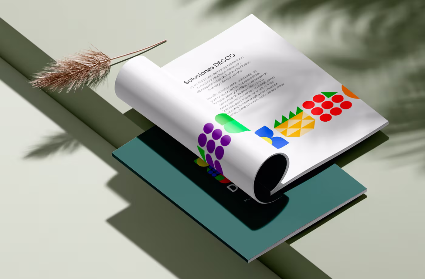 catalogo decco abranding