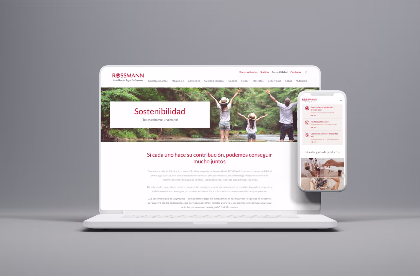 diseno responsive rossmann abranding