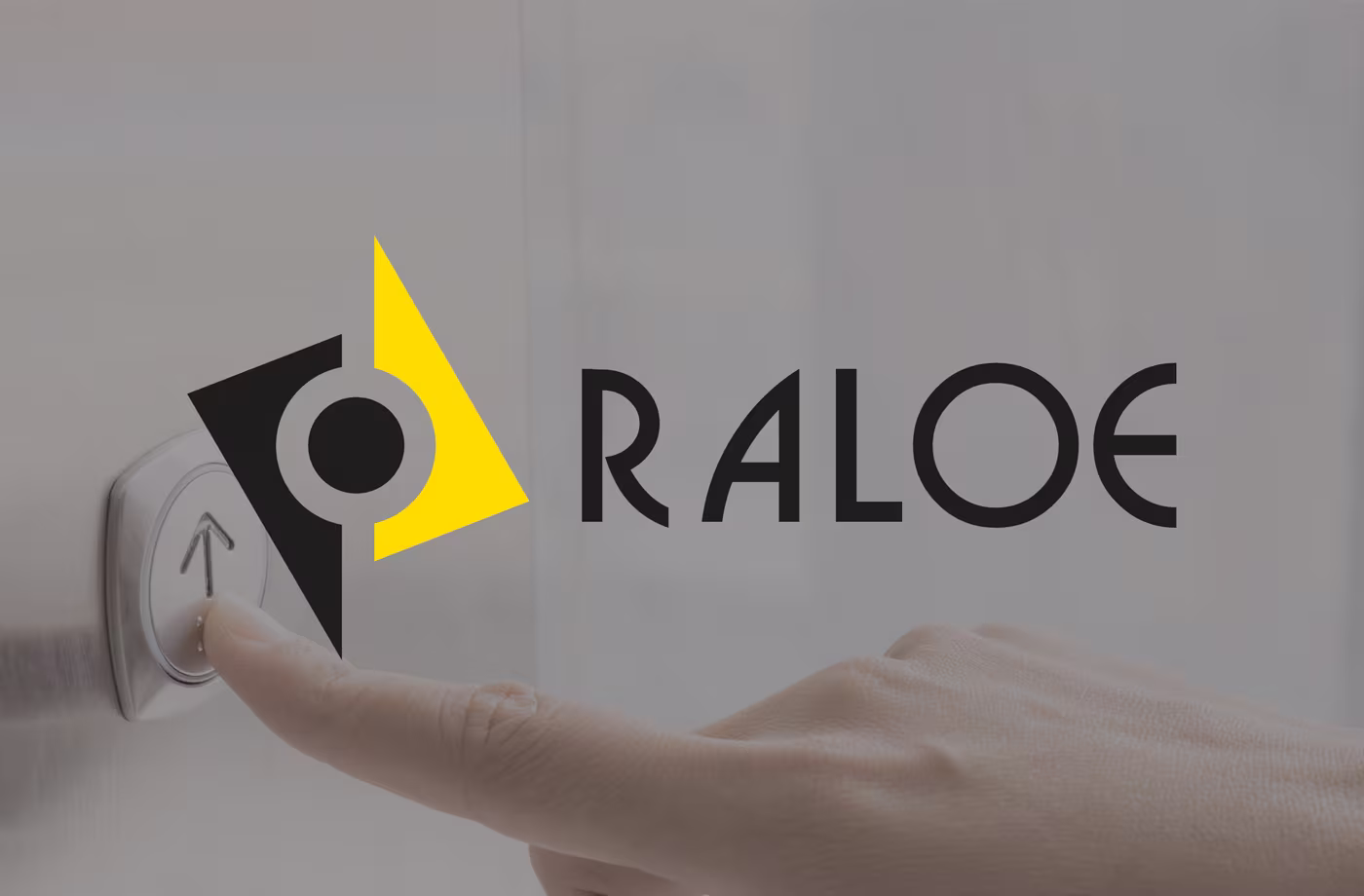 diseno sitio web raloe abranding