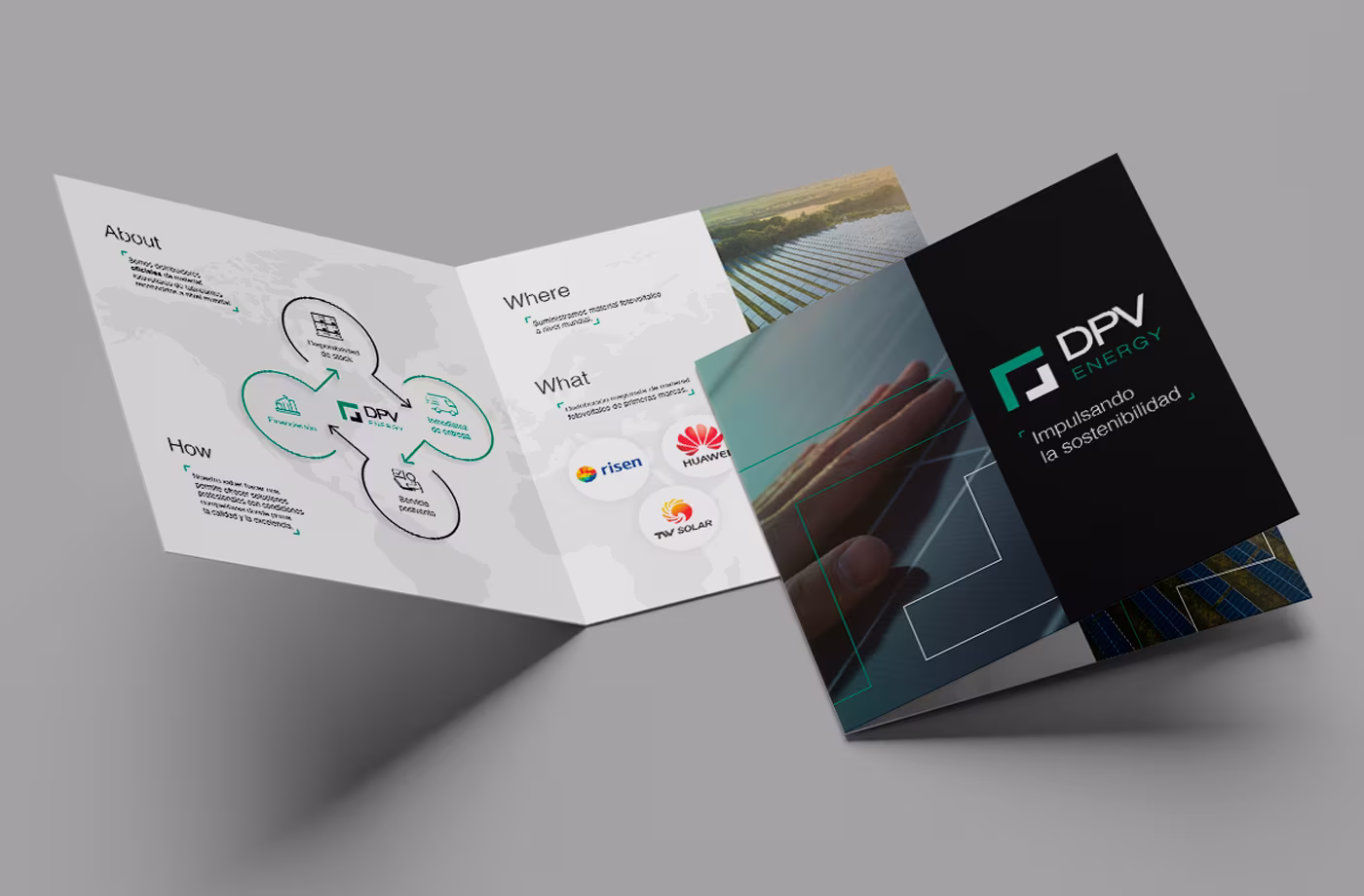 folleto dpv abranding