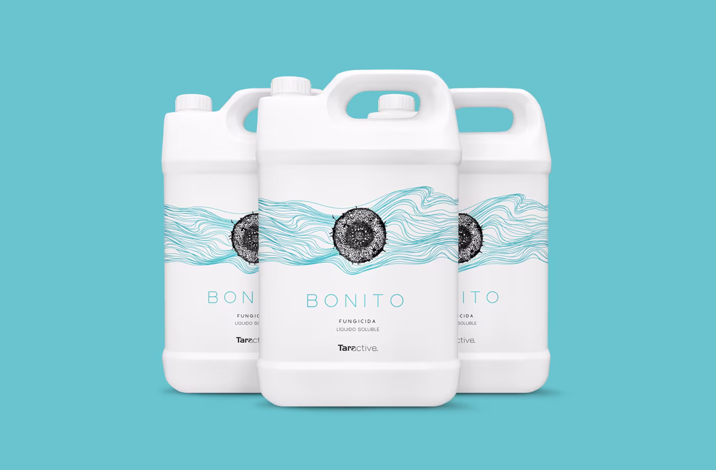 packaging bonito taractive abranding