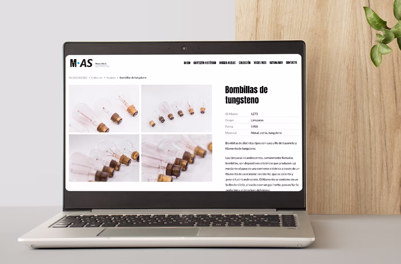 web museo aselec abranding