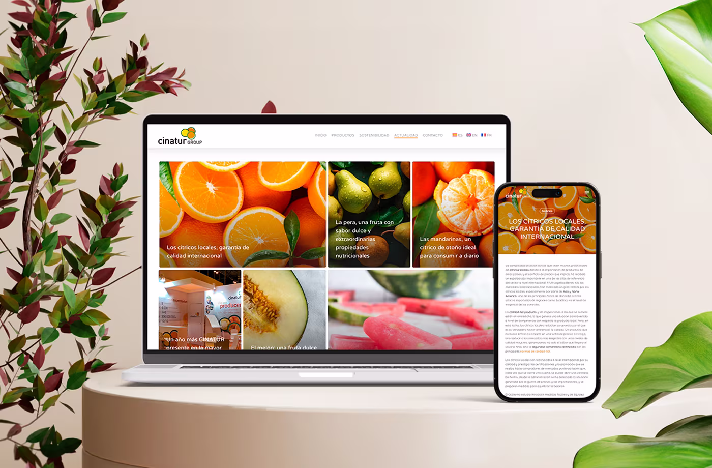 diseno responsive cinatur group abranding
