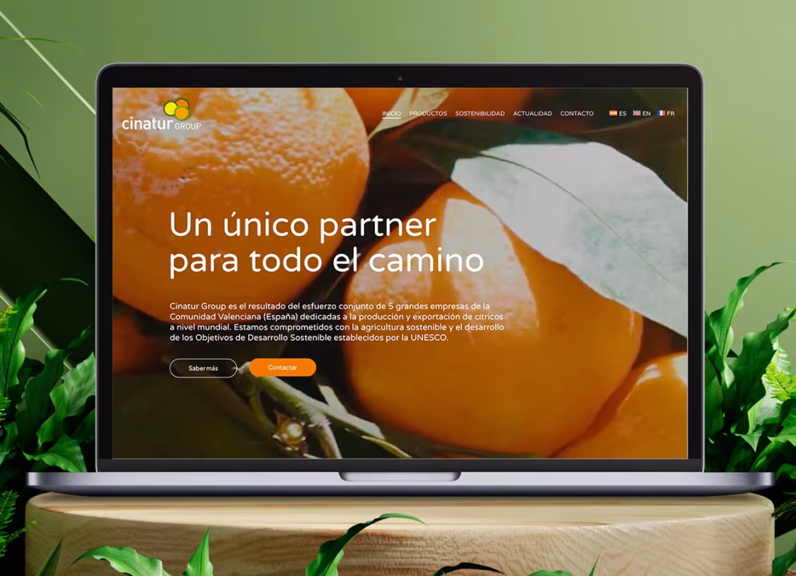 diseno web cinatur group abranding