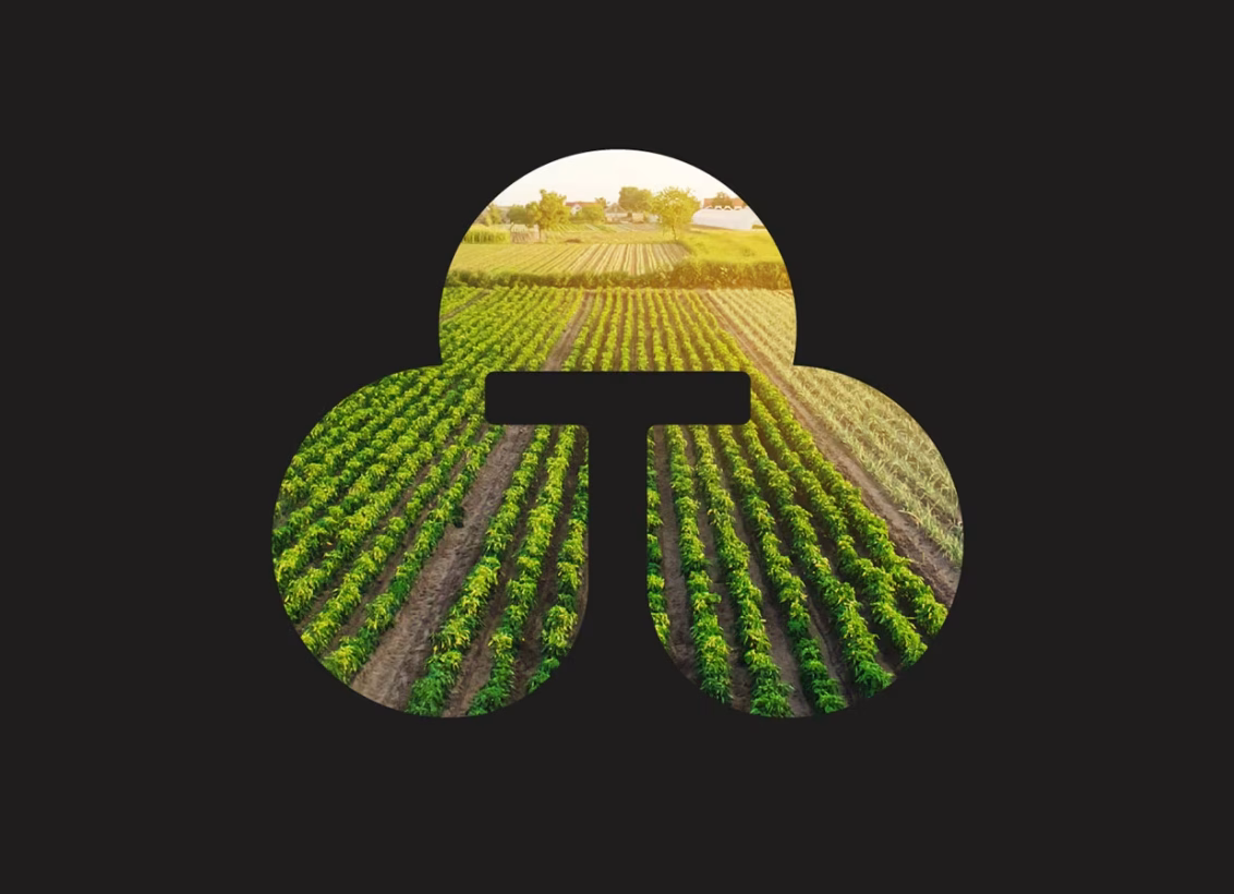 logotipo tarazona abranding 1