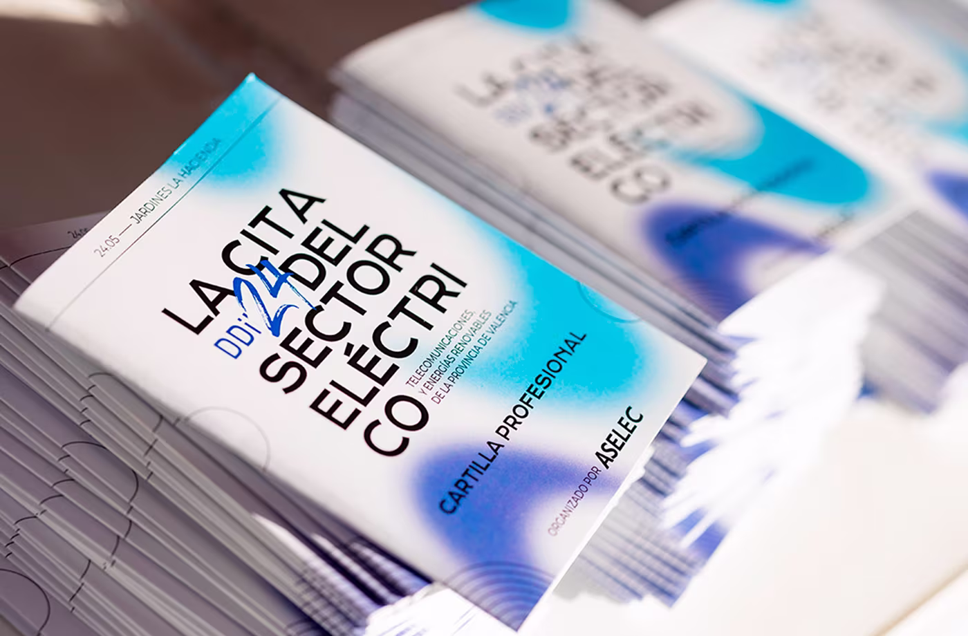 cartilla profesional ddi 24 abranding