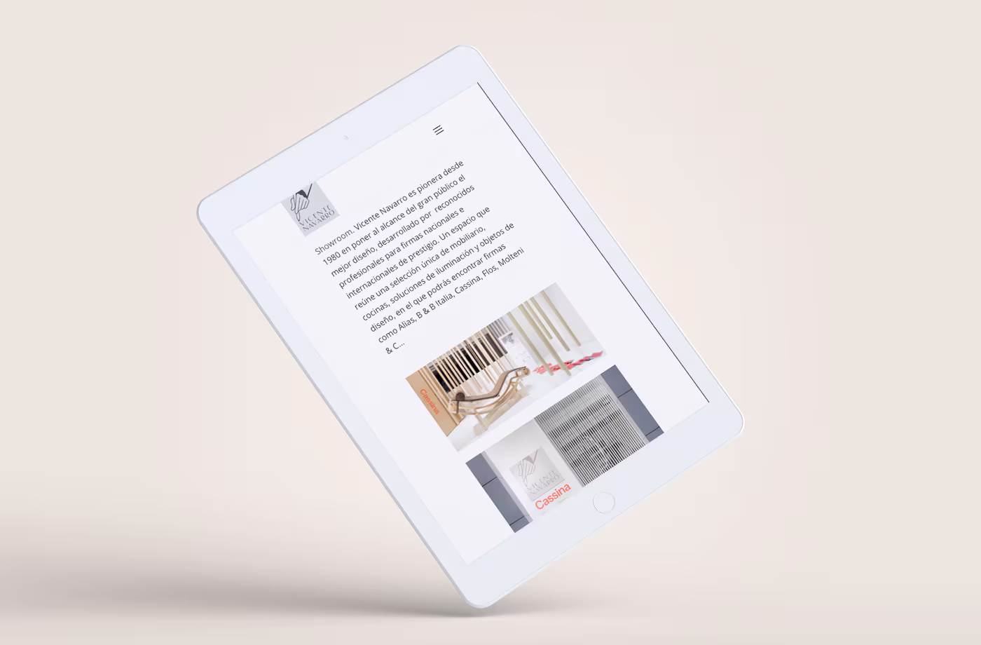 desarrollo web responsive vicente navarro abranding