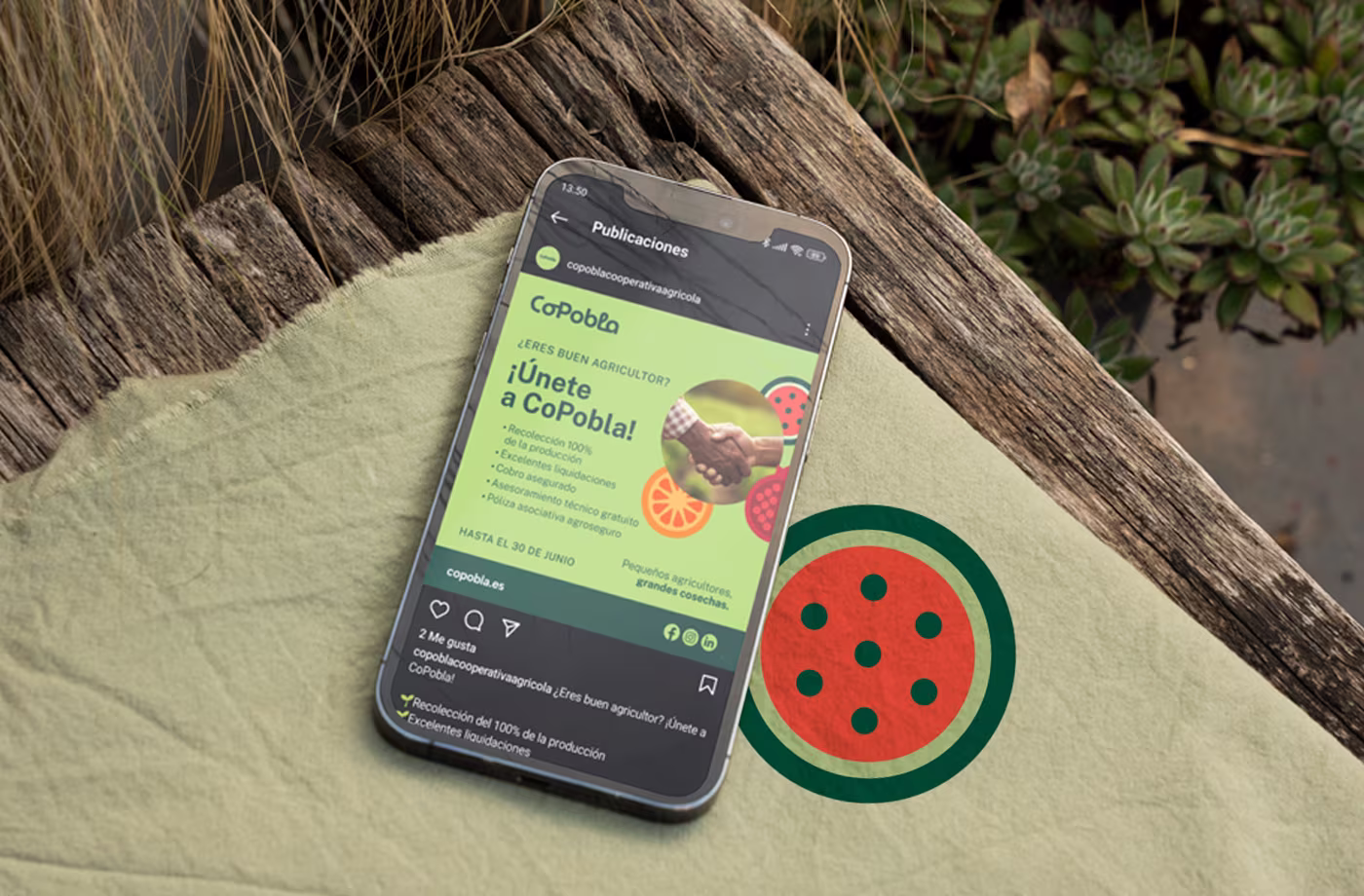 movil COPOBLA RRSS abranding