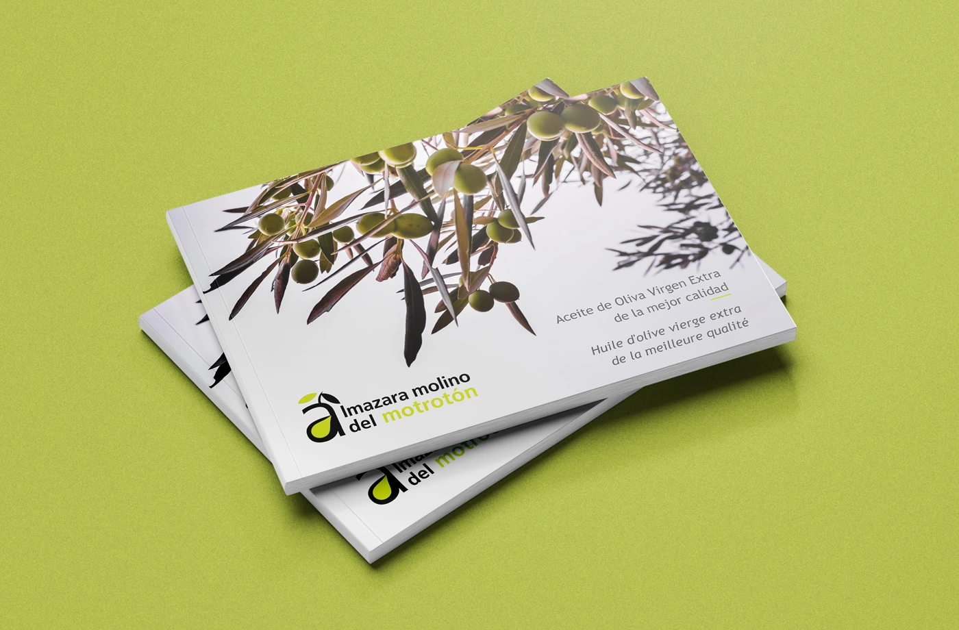 catalogo molinomotroton abranding